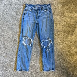 American Eagle Outfitters Strigid Mom Jeans Size 10